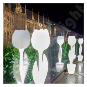 TULIPE LUMINEUSE